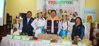 MUNICIPALIDAD DE TORATA REALIZA LANZAMIENTO DE LA CONVOCATORIA PARA EL FONDO CONCURSABLE PROCOMPITE 5  