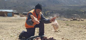 ALCALDE DE TORATA ENTREGA TONELADA Y MEDIA DE PAPA A POBLADOS DE ASANA Y ARONDAYA