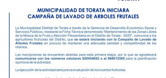 MUNICIPALIDAD DE TORATA INICIARA CAMPAÑA DE LAVADO DE ARBOLES FRUTALES