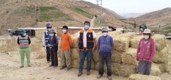 ALCALDE DE TORATA SUPERVISA ENTREGA DE ALIMENTO PARA GANADO DEL DISTRITO AFECTADO POR LAS BAJAS TEMPERATURAS